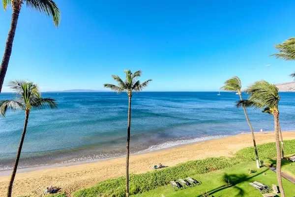 Palm Framed Beachfront Paradise