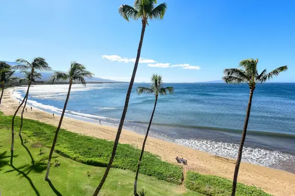 Ocean Breezes And Swaying Palms