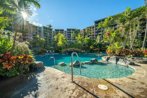 Pool surrounded by lush tropical landscaping.