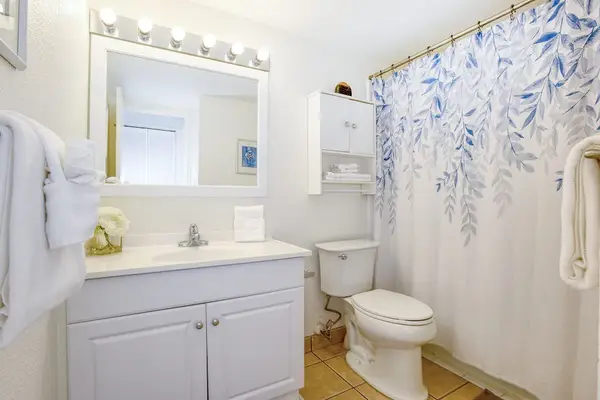 Guest bathroom with tub/shower combo.