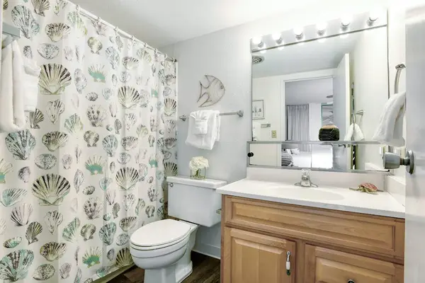 Master bathroom with tubs/shower combo.