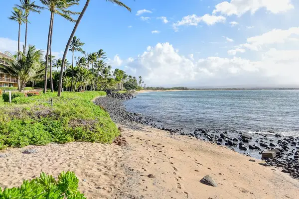 When you stay in this Island Sands Resort condo, you'll enjoy spectacular sunsets, whale watching in the winter, and walking along the five miles of white sand beach.