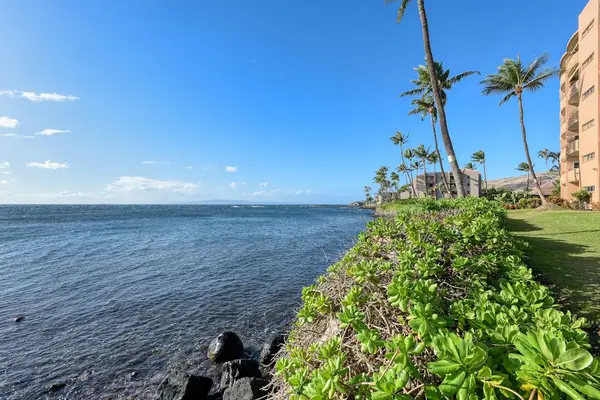 Tropical foliage all through Island Sands Resort against the backdrop of the crisp Pacific Waters.
