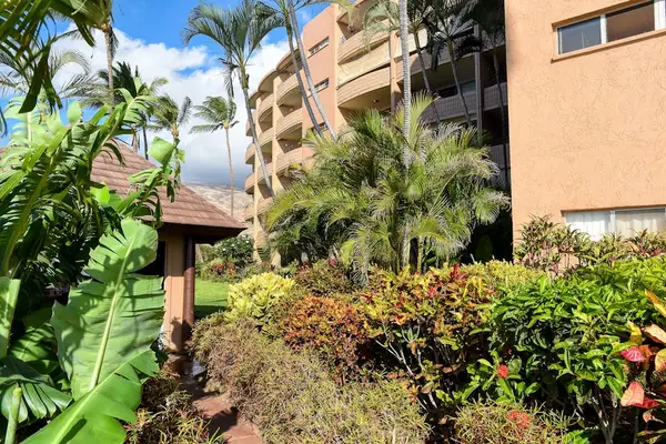 Tropical foliage all through Island Sands Resort against the backdrop of the crisp Pacific Waters.