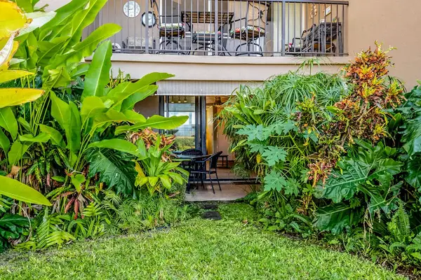 Lush Tropical Grounds Surrounding Your Retreat