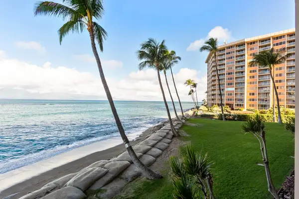 Palm Lined Oceanfront Paradise