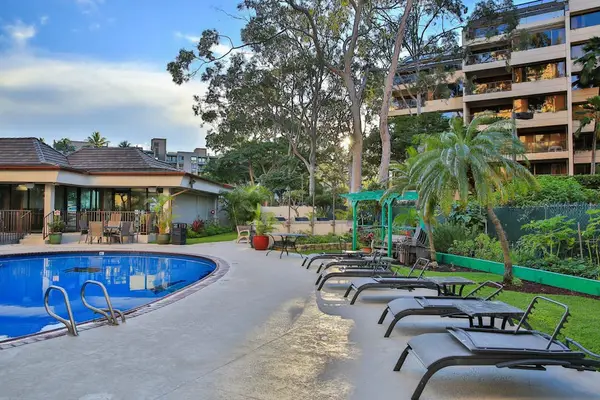 Relaxing Poolside Escape Beneath The Palms
