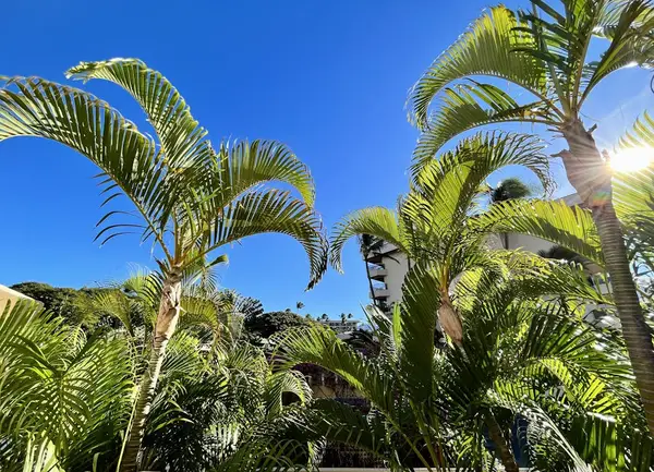 Relax Surrounded by Nature