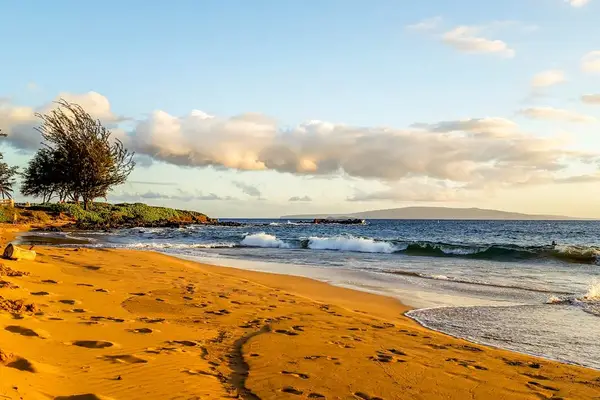 Discover the Beauty of the Resort