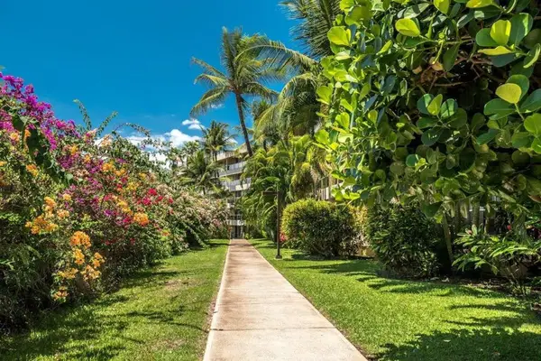 Escape to Tropical Comfort