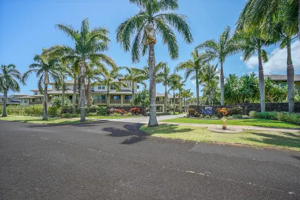 Palm Lined Resort Entrance
