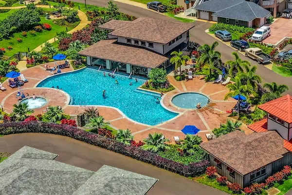 Bird's Eye View Of Paradise