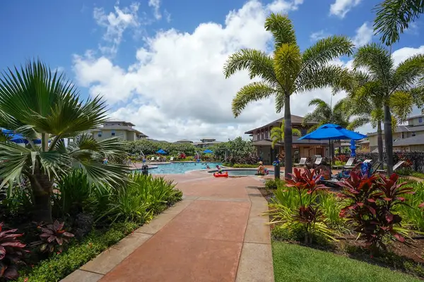 Palm Lined Resort Promenade