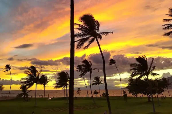 Begin Your Island Adventure