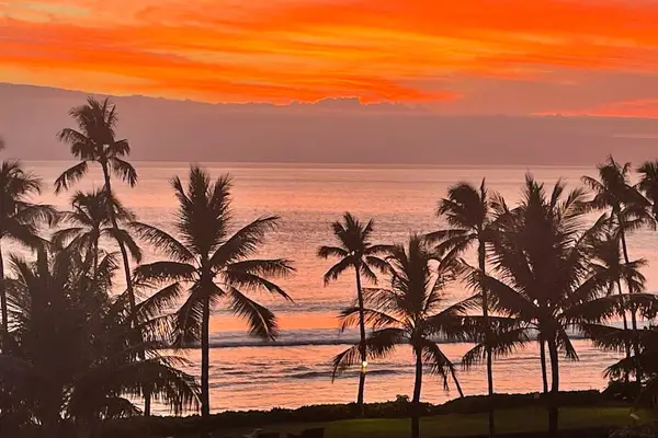 Discover the Beauty of the Resort