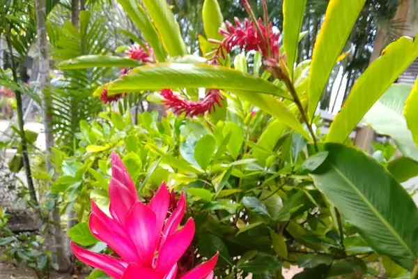 Enjoy Every Moment Here