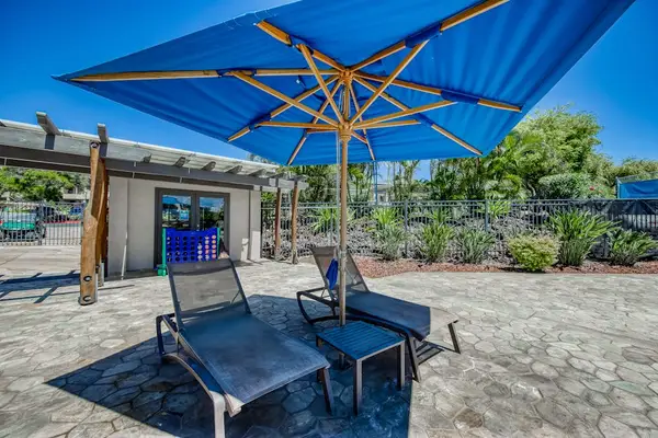 Poolside Lounge Beneath Sunny Blue Skies