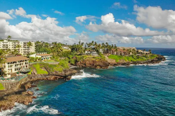 Welcome to Your Tropical Retreat