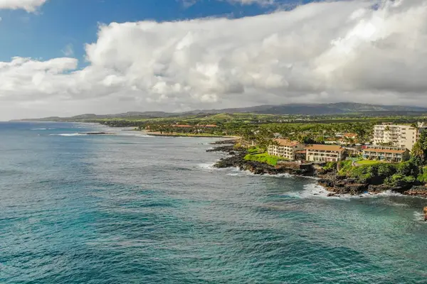 Enjoy tropical landscaping leading to the shoreline