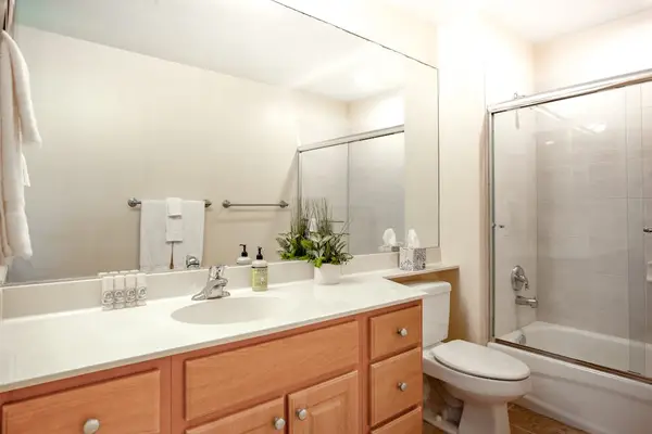 Full Guest Bath featuring Vanity, Large Mirror & Shower-Tub Combo