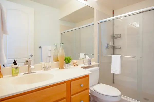 Guest Bathroom View featuring Vanity Mirror & Glass Shower Door