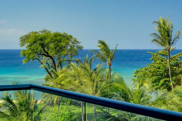Ocean Views Framed By Island Palms