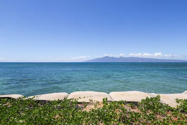 Endless Pacific Views From The Shoreline