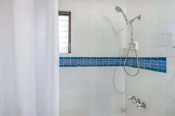 Spa Inspired Walk In Shower Experience