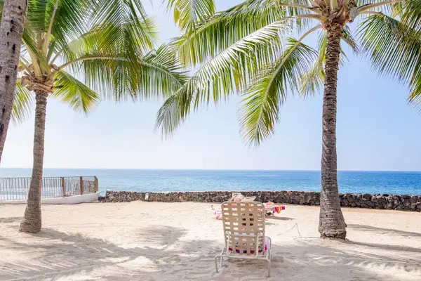 Oceanfront View featuring Sandy Beach, Palm Trees & Coastal Seating