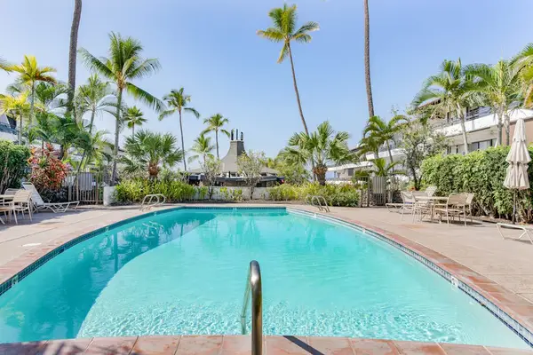Resort-Style Outdoor Swimming Pool Surrounded by Tropical Palm Trees