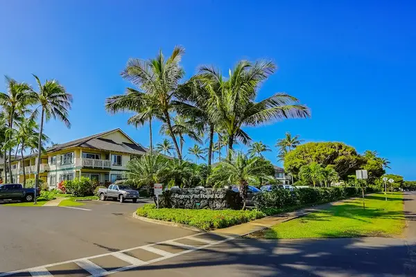 Palm Lined Resort Entrance