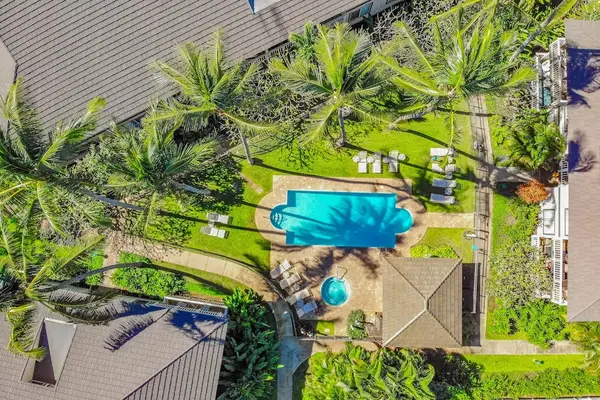 Tropical Aerial View Of Resort Pool