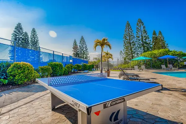 Outdoor Ping Pong For Family Fun