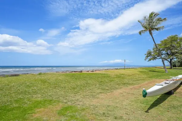Beachfront lawn with palm tree and kayak, ocean views in the distance