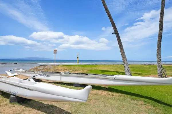 Outrigger canoe resting on the oceanfront lawn