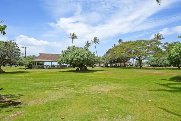 Green lawn area shaded by mature palm trees