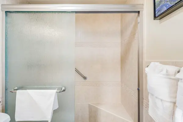 Master bathroom with large tiled walk-in shower.