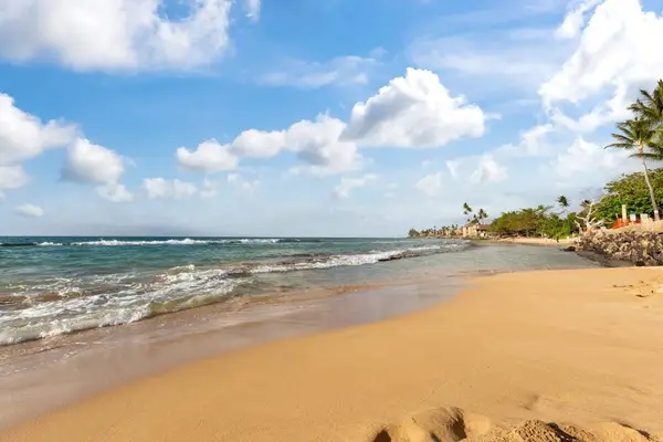 Your Private Stretch Of Tropical Paradise