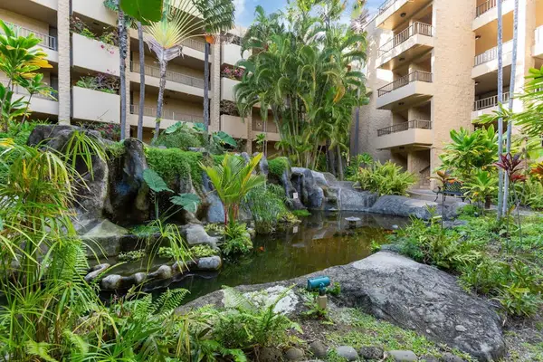 Lush Tropical Courtyard With Waterfall Gardens