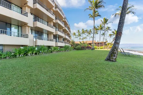 Oceanfront Lawn Surrounded By Tropical Palms