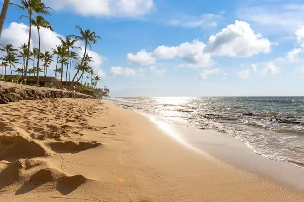 Golden Sands And Endless Ocean Bliss