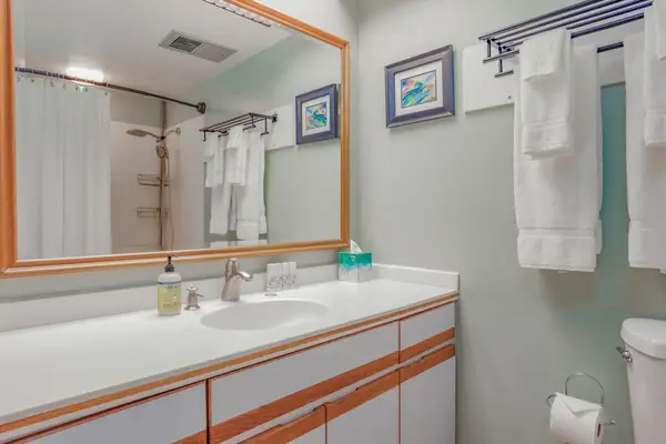 Spacious Vanity With Modern Finishes