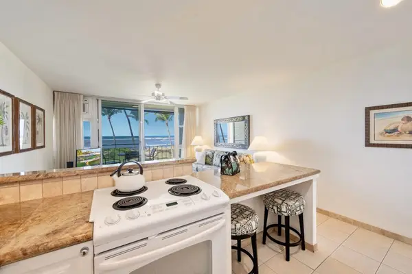 Kitchen Designed For Vacation Living