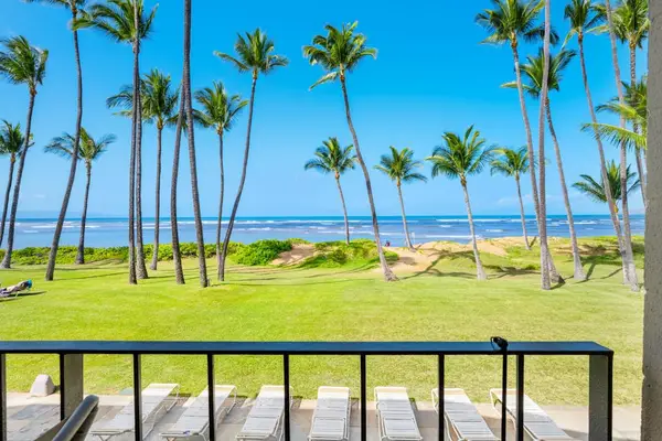 Palm Lined Oceanfront Paradise