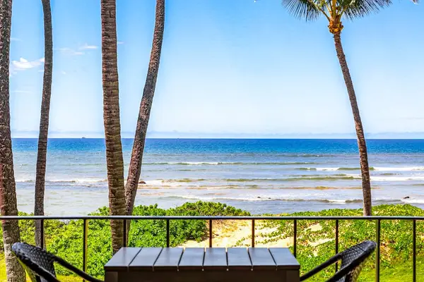 Palm Framed Pacific Views