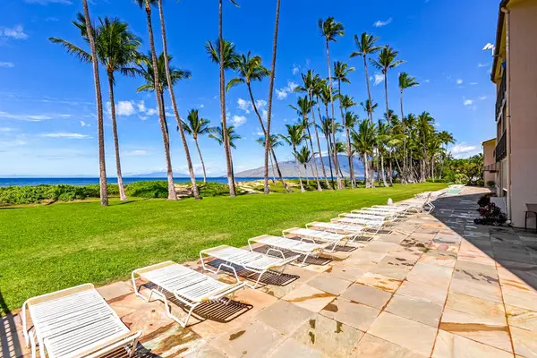 Resort Loungers Beneath Swaying Palms