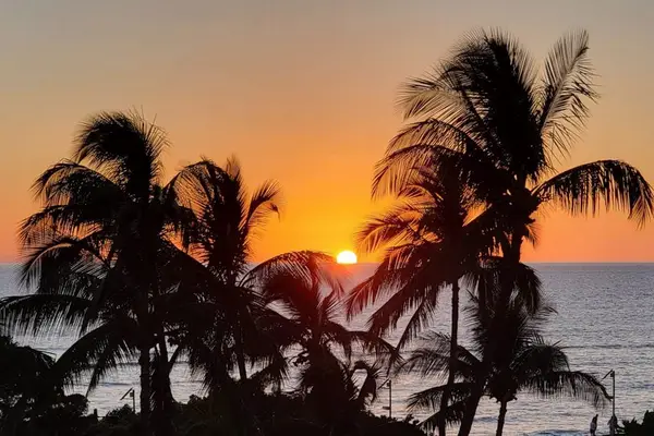 Breathtaking tropical sunset over the ocean and palm trees