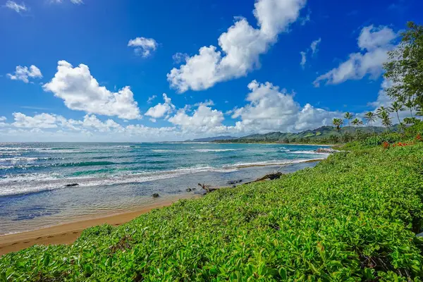 Golden Sandy Beach Just Steps Away