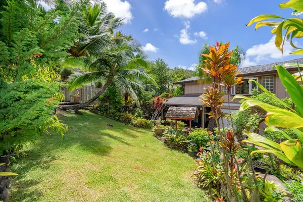 Backyard with lawn and surrounding tropical plants
