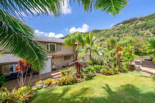Backyard garden with lush plants and pathways